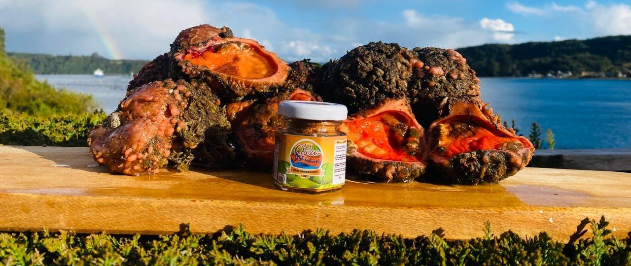 01Chiloé Mil Sabores productos (1)2026