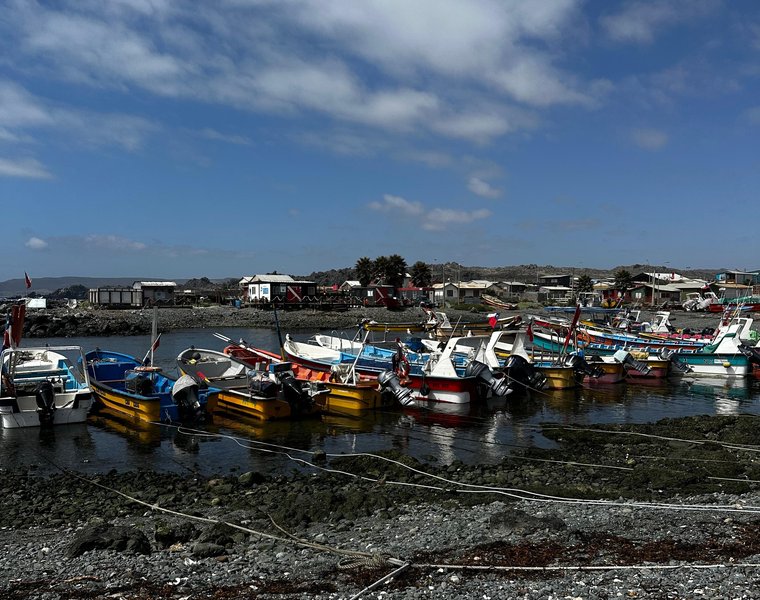 121.Caleta_Chañaral_2023