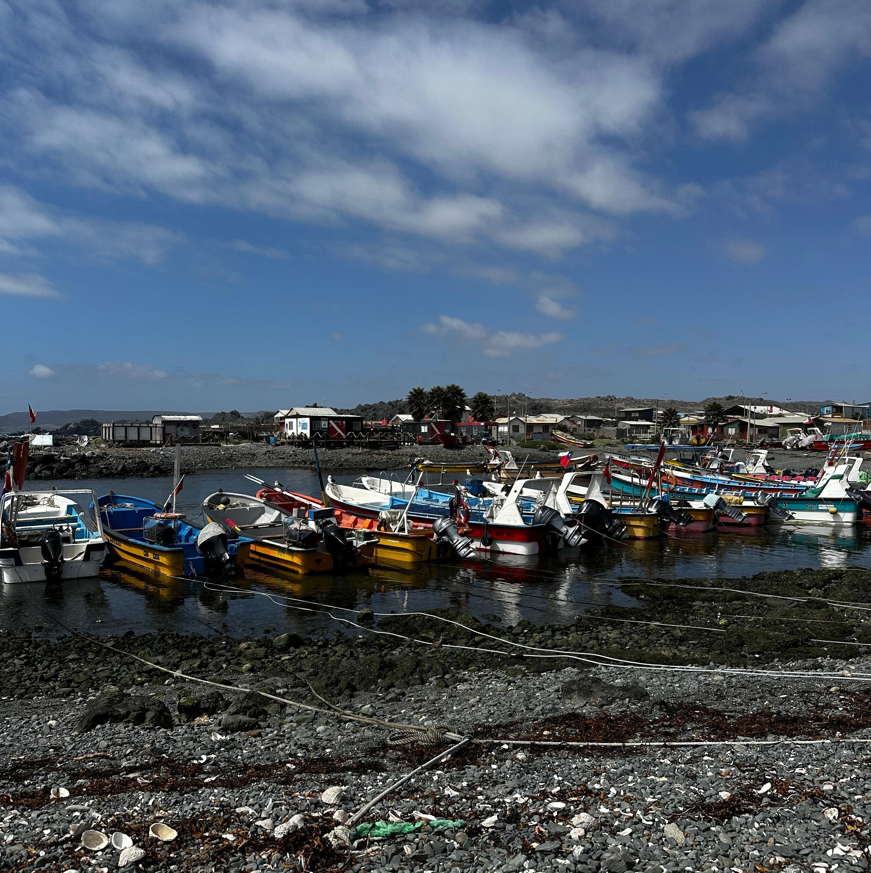 121.Caleta_Chañaral_2023