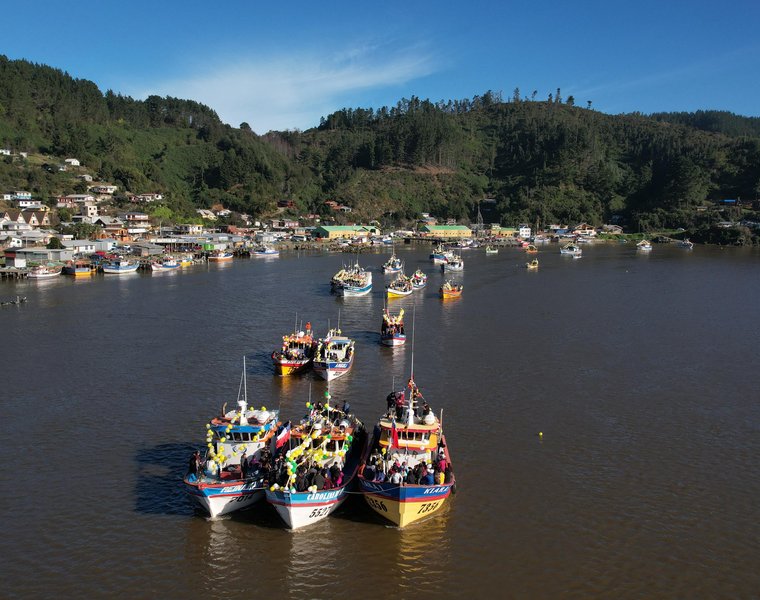 12 CR Araucania