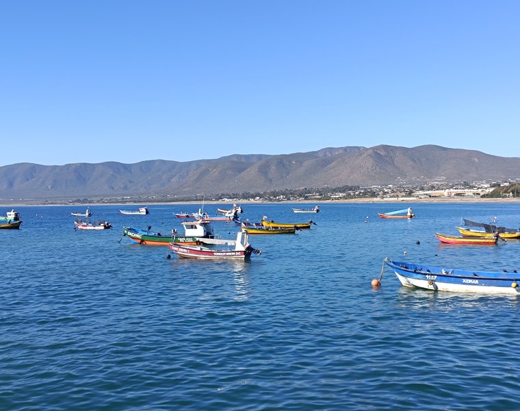 Guanaqueros
