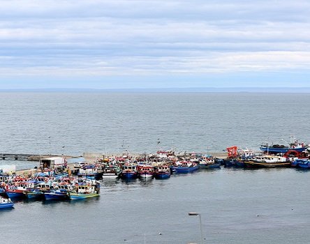 Magallanes2