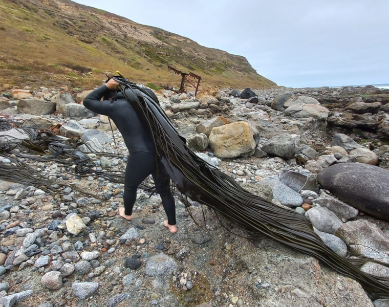 Felipe@ElOtrooscar-8