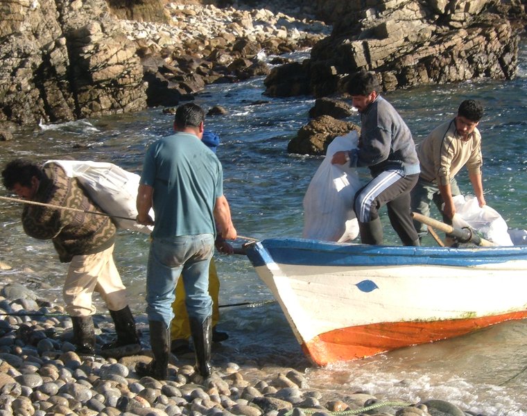 Faenas Caleta Peroné