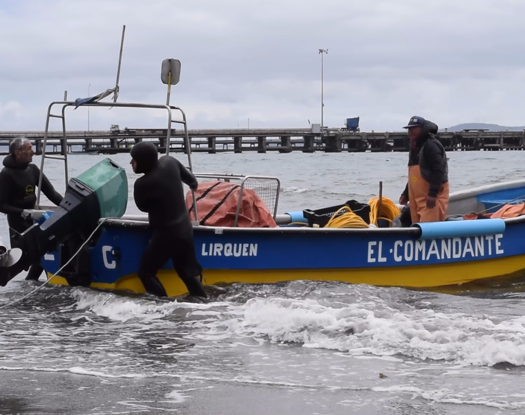 sacos de navajuela en Lirquen (5)